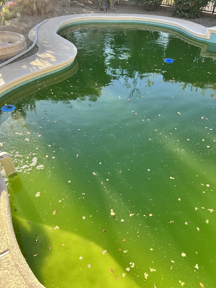 McCallum's Pool Service & Repair LLC project